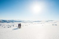 Winterreis Noorwegen - Geilo