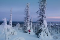 Wintervakantie Fins Lapland - Levi