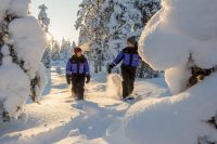 Wintervakantie Fins Lapland - Vaattunki Wilderness Resort