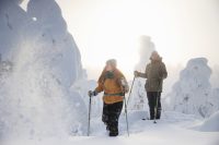 Winterreis Fins Lapland - Ruka