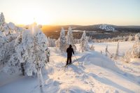 Winterreis Fins Lapland - Pikku-Syöte