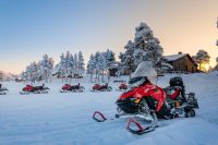 8 daagse excursiereis Arctic Light in the Forest