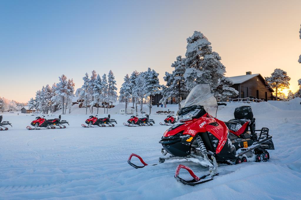 8 daagse excursiereis Arctic Light in the Forest