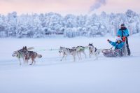 8 daagse excursiereis Juutua Wilderness Week