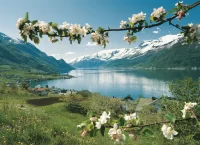 Fjorden, Gletsjers en Dalen