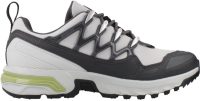 SALOMON ACS GTX SAT Grijs 40 2/3 EU