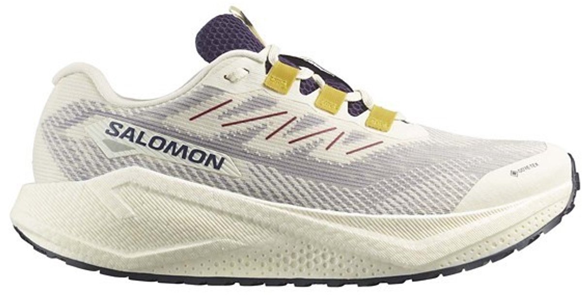 SALOMON - Shoes AERO BLAZE 3 GRVL GTX - 9.5 - Vanila/Astra