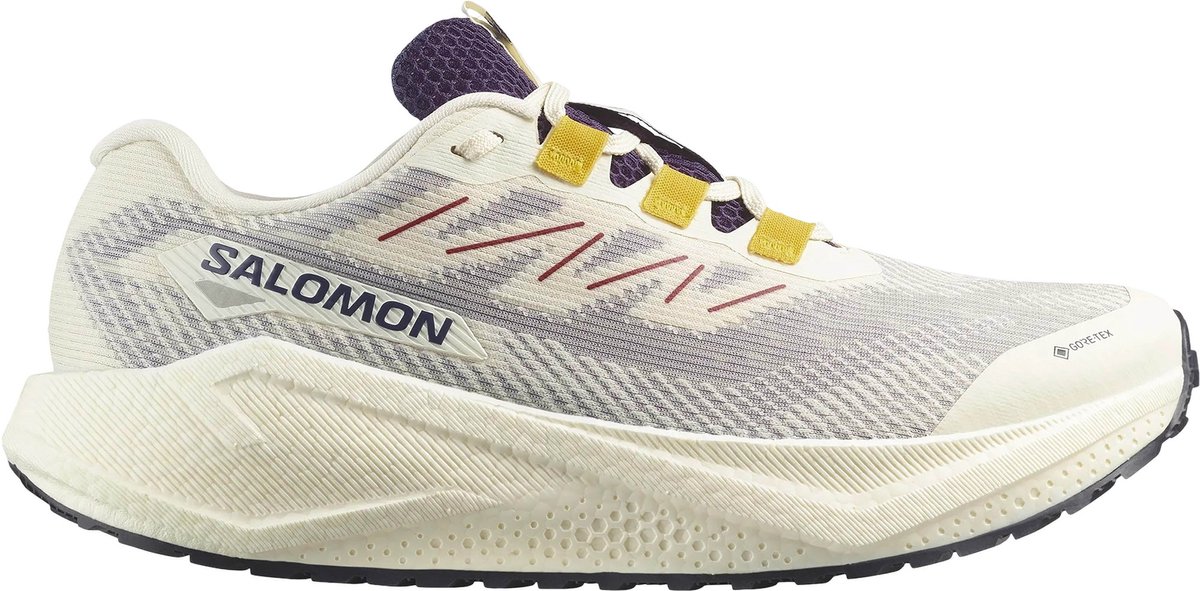 SALOMON - Shoes AERO BLAZE 3 GRVL GTX - Vanila/Astra - 8