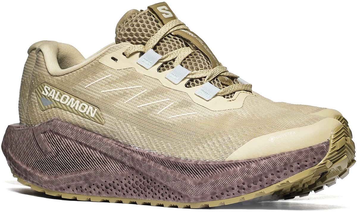 Sportieve Salomon AERO BLAZE 3 GRVL GTX 38 Dames