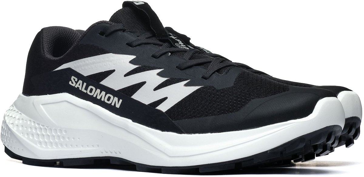 Trekking Salomon ALPHAGLIDE 42 2/3 Heren