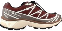 SALOMON XT 6 GTX Bruin 44 2/3 EU