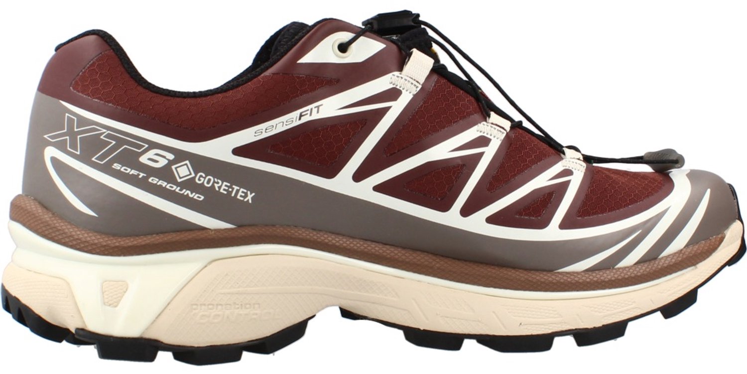 SALOMON XT 6 GTX Bruin 44 EU