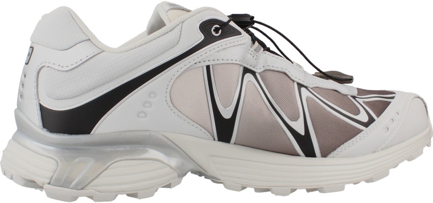 SALOMON XT WHISPER GTX Grijs 44 EU