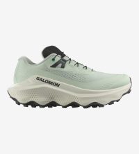 Salomon Ultra Glide 3 - Hardloopschoenen - Dames - 38